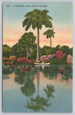 Postcard Royal Palm Tree Saint Petersburg Florida picture