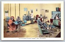 ASTI CALIFORNIA CA Winery Italian Swiss Colony Visitors Relaxing Postcard picture