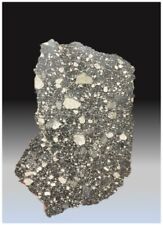 Large Lunar Moon Meteorite Slice 68 Grams W / COA NWA 14686 picture