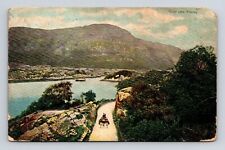 Upper Lake Killarney Bireds Eye View Mountains Horse Carriage Forest Postcard picture