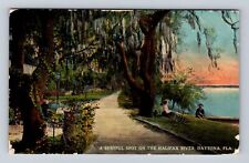 Daytona FL-Florida, Restful Spot On The Halifax River, Vintage c1913 Postcard picture