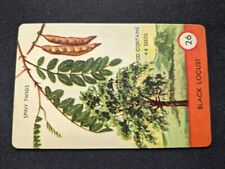 1962 Ed-U-Cards Tree Spotter Game Card  # 26 Black Locust (NM) picture