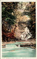 Cascadilla Gorge Ithaca New York NY Vintage Postcard L66 picture