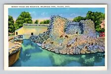 Toledo OH-Ohio, Monkey House & Mountain Walbridge Park, Antique Vintage Postcard picture