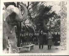 1950 Press Photo Japan's Emperor & Empress visit elephant 