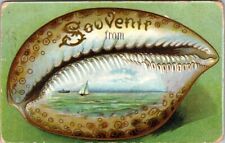 Seashell Souvenir From _______ Town Left Blank ANTIQUE POSTCARD 982 picture