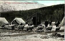 FAIRBANKS ALASKA GOAT TEAM AT COPPER MINING CAMP OLD POSTCARD VIEW picture