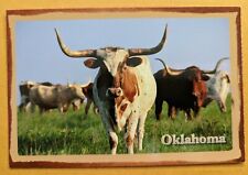 Postcard OK: Texas Longhorn. Oklahoma  picture