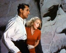 North By Northwest Cary Grant Eva Marie Saint Mount Rushmore 24x36 inch poster picture