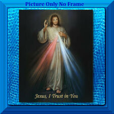 The DIVINE MERCY of Jesus  8x10 Christian CATHOLIC ART Print Poster Picture  picture
