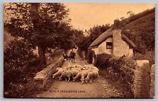 Devonshire Great Britain Scenic Country Lane Sheep Sepia BW UNP Postcard picture