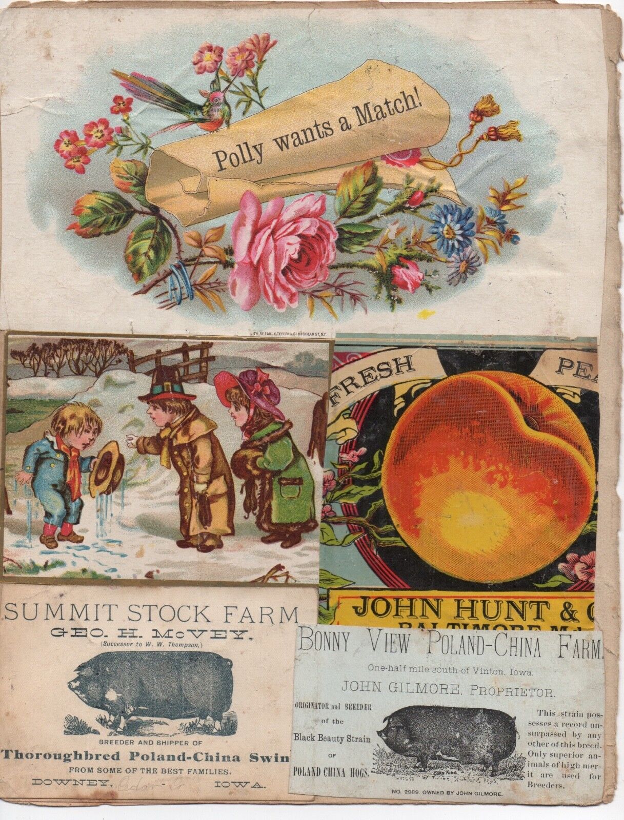 Two 1890s Trade Cards of Pig Farms from Iowa & Polly Wants a Match Cigar Label