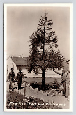RPPC First Tree Fort Ord California Military Soldiers VTG Unused Photo Postcard picture