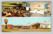 Dunkirk NY-New York, Vineyard Motel Advertising, Vintage Souvenir Postcard picture