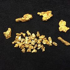 2 1/2 LB NUGGET RESERVE Gold Panning Paydirt Concentrate - CHUNKY GOLD picture