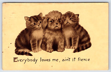 Original Old Vintage Antique Postcard Cats Kittens Dog Puppy Love picture
