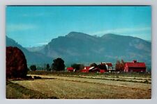 Missoula MT-Montana, Bitter Root Valley & Mountains, Antique, Vintage Postcard picture