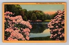 WA-Washington, Rhododendrons, Washington State Flower, Vintage Postcard picture