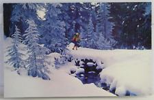 Postcard - Mt Bachelor Central Oregon snow trees cross country skiing unposted picture