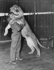 Frank Buck s Jungleland show starring Melvin Koontz animal trainer .. Old Photo picture