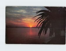 Postcard Golden Sunset in beautiful Southland, Greeting From Clearwater, Florida picture