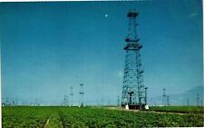 Vintage Postcard- Oil field, Kern County, CA picture
