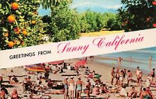 Greetings from Sunny California  Vintage Chrome PC Posted 1959 picture
