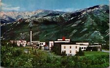 Vtg Alaska AK McKinley Park Hotel Mount Denali Postcard picture