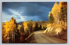 Aspen Time In New Mexico Fall Scene Vintage Unposted Postcard picture