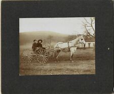 1906 Horse & Buggy Photograph Inez PA / C M Spoor Photographer picture