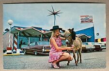 Postcard South Border SC - The Ice Cream Revolution Store - Woman Feeding Donkey picture