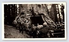 Antique Photo Yosemite CA Wawona Tunnel Tree Shriners • 5.5