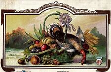 c1910 THANKSGIVING GREETINGS DEAD TURKEY FRUIT PATRIOTIC EMBOSSED POSTCARD 34-59 picture