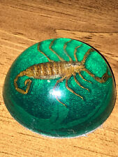 Scorpion Encased Acrylic Lucite Dome Paperweight with Felt bottom picture