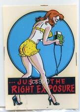 RISQUE VINTAGE SEXY RIGHT EXPOSURE GIRLIE PIN UP 1950s WATER WINDOW TRAVEL DECAL picture