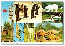 1974 Assiniboine Park Zoo Winnipeg Manitoba Canada Animal Multiview Postcard picture