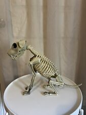Dog Skeleton Figure Decor Halloween Detachable Bones/Adjustable Positioning picture