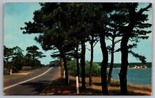 Postcard View Along Highway Muskoka Ontario Canada     A 19 picture