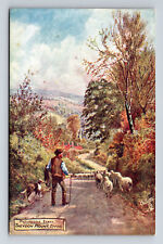 Theydon Mount Essex Shepherd Raphael Tuck's Oilette Epping UK Postcard picture