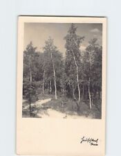 Postcard Forest Nature Scene picture