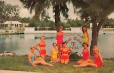 Spring of the Mermaids Weeki Wachee Florida FL c1950 Postcard picture