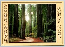 Armstrong Redwoods Sonoma County Guerneville California Ed Cooper 6x4  Postcard picture