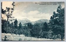 RPPC  San Francisco Peaks Flagstaff Arizona AZ UNP Postcard picture