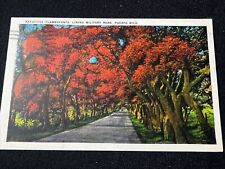 1936 Vintage Postcard PUERTO RICO Military Road Trees Guayama Cancel picture