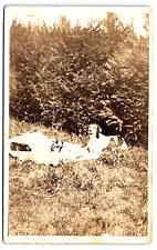RPPC Momma Dog Proudly Displayed on Blanket with her 3 Pups Postcard Azo 1904-18 picture
