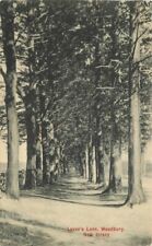 Woodbury New Jersey Lover's Lane Humphrey's #119 1907 Postcard 21-9838 picture