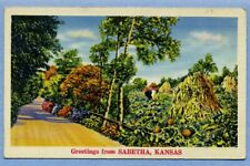 Postcard Greetings from Sabetha, Kansas  A-17 picture