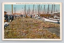 Postcard Sponge Fleet Boats Tarpon Springs Florida FL, Vintage G14 picture
