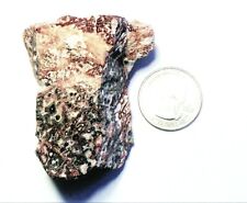 85 gram Leopard skin Jasper specimen rough Mexico # 5 picture