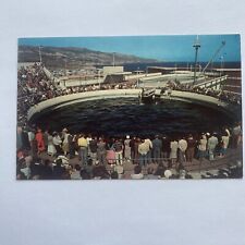 Porpoise Feeding Time Marineland Of The Pacific Palos Verdes CA Amphitheater picture